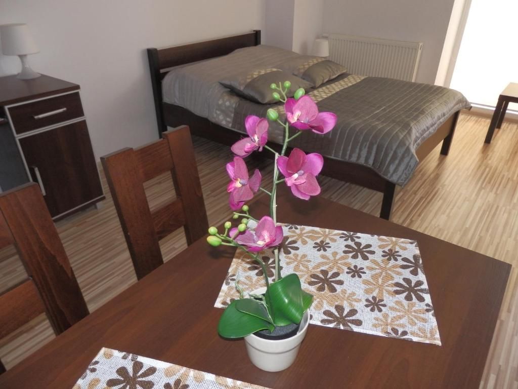 Апартаменты Apartament Maja Дзивнув-22